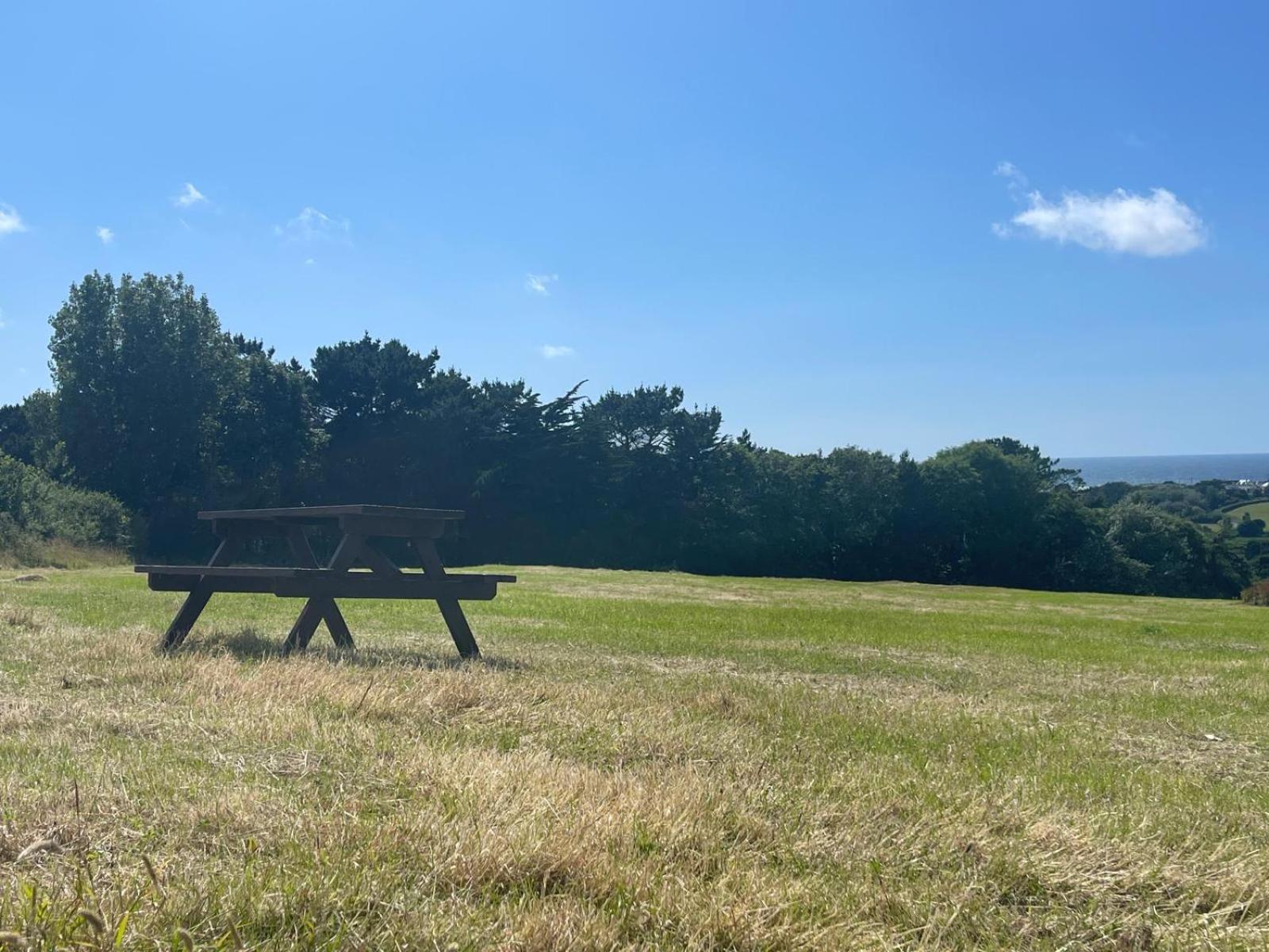 Duo Of Lovely Holiday Cottages Nr Bude - Sleeps 10 Kültér fotó